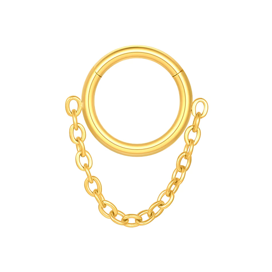 G23 Titanium Zircon Hinged Segment Septum Clicker Nose Rings